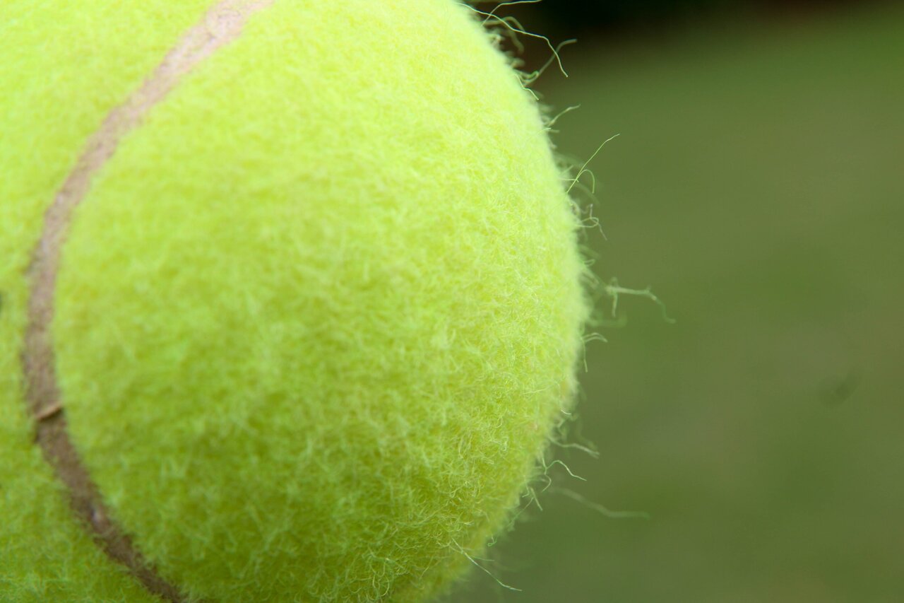 Detail Images Tennis Ball Nomer 55