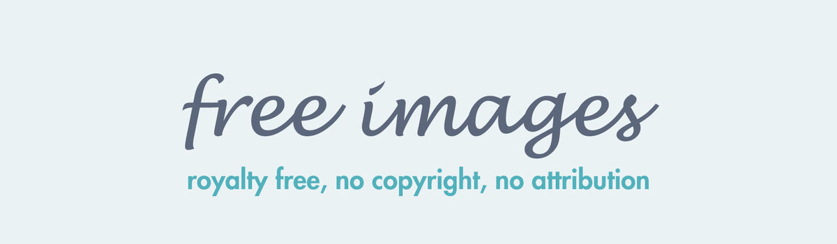 Detail Images Without Copyright Nomer 49