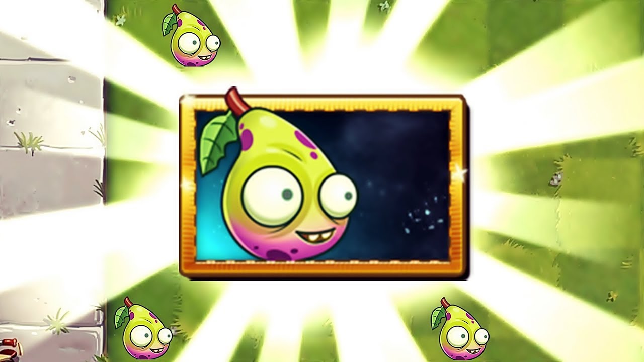 Detail Imp Pear Nomer 13
