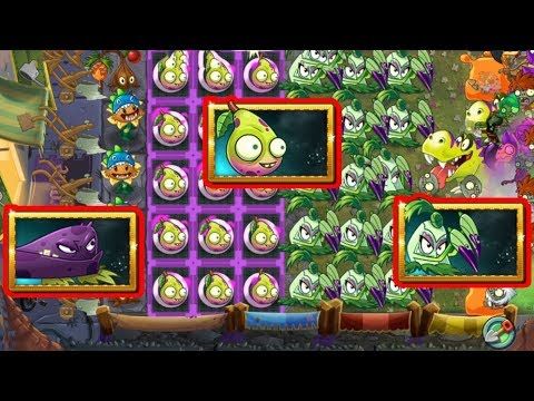 Detail Imp Pear Nomer 40