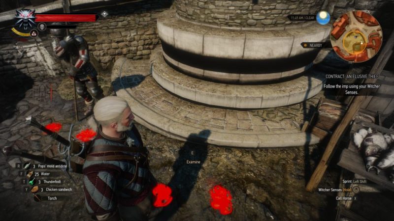 Detail Imp Witcher 3 Nomer 27