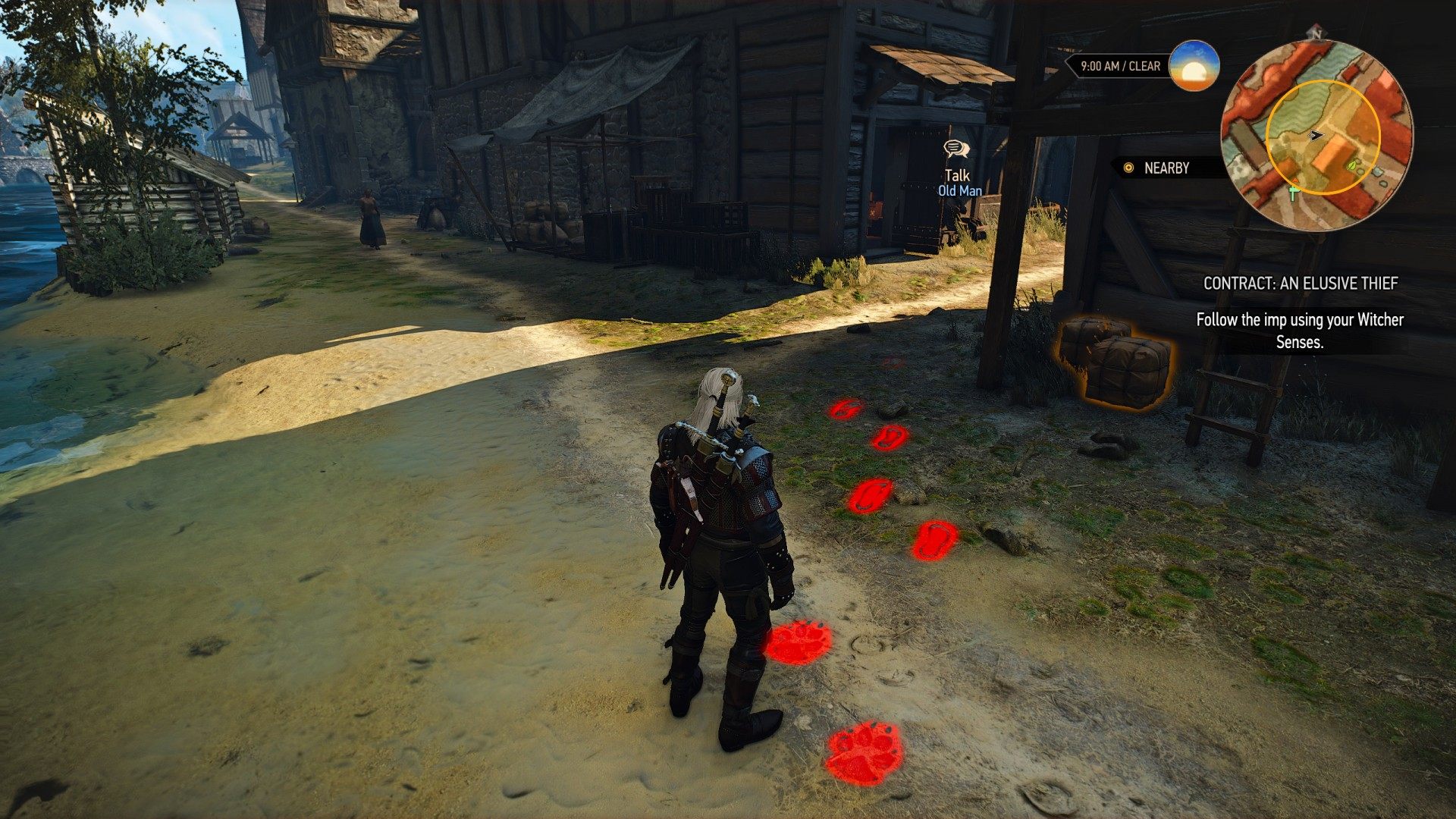 Detail Imp Witcher 3 Nomer 10