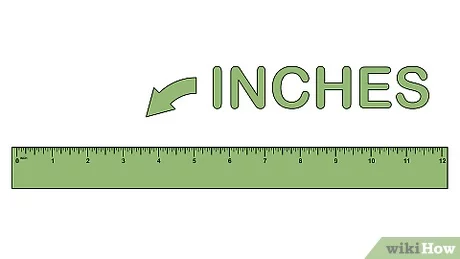 Detail Inch Ruler Image Nomer 25
