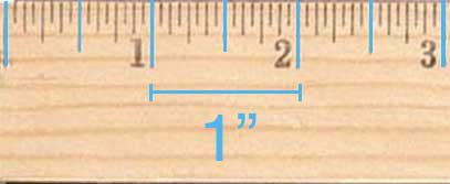 Detail Inch Ruler Image Nomer 47