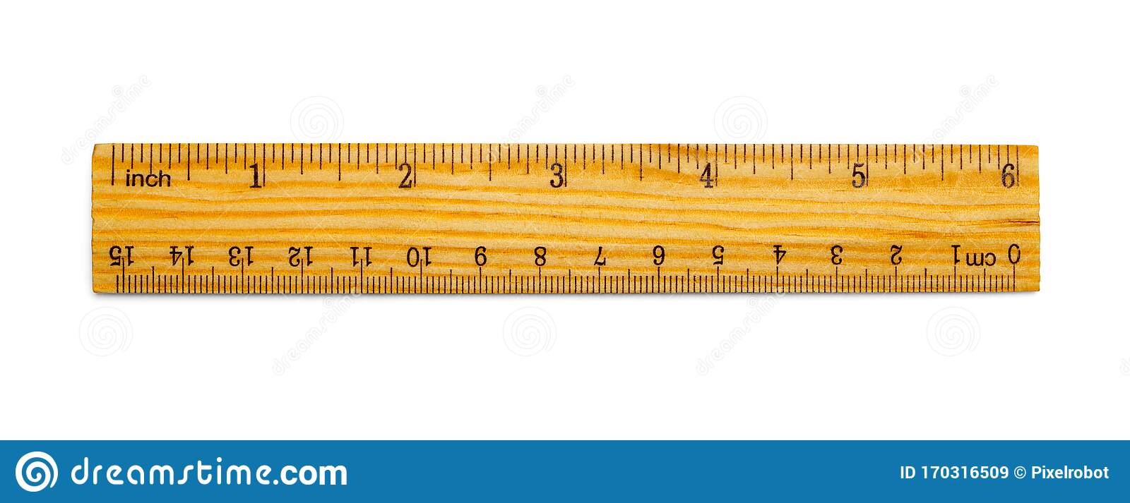 Detail Inch Ruler Image Nomer 54