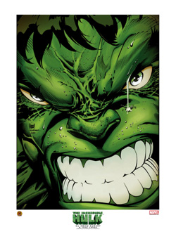 Detail Incredible Hulk Face Images Nomer 24