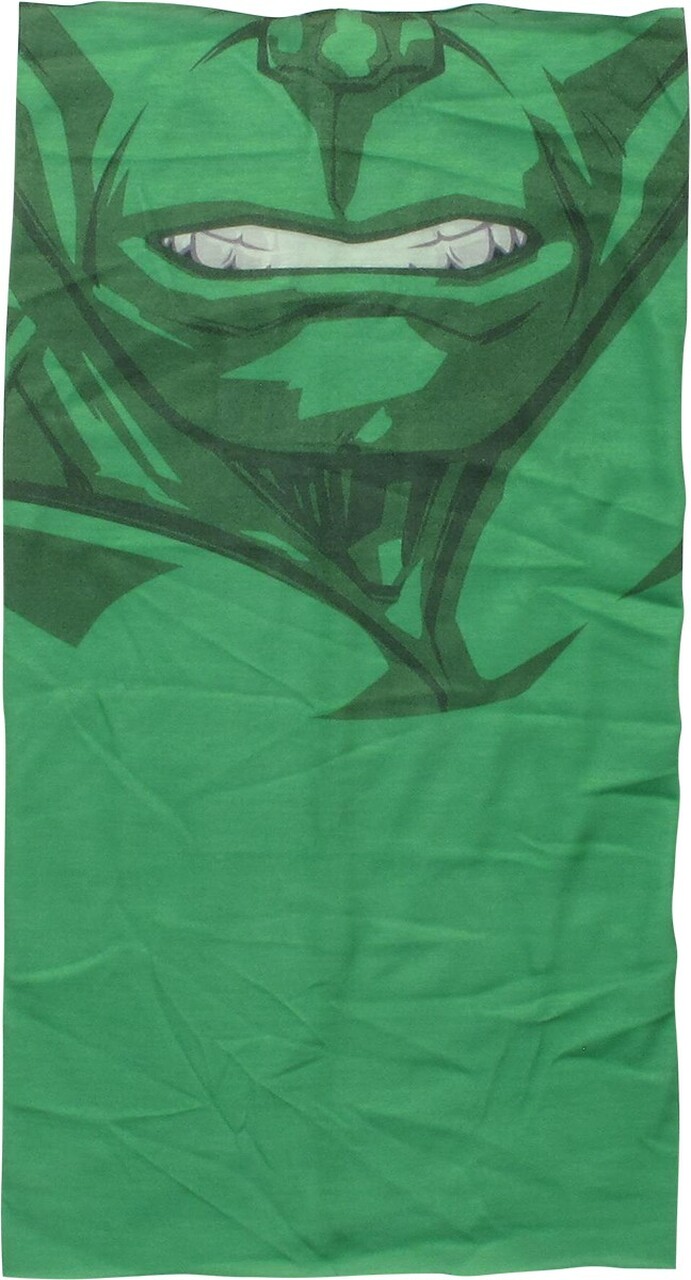 Detail Incredible Hulk Face Images Nomer 56