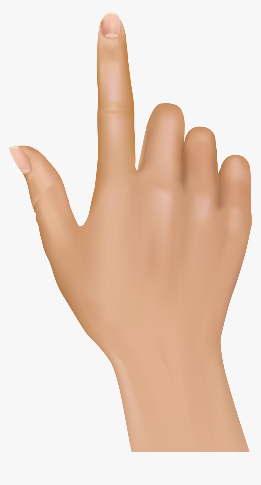 Detail Index Finger Png Nomer 13