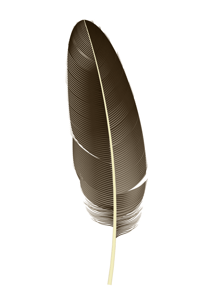 Detail Indian Feathers Png Nomer 19