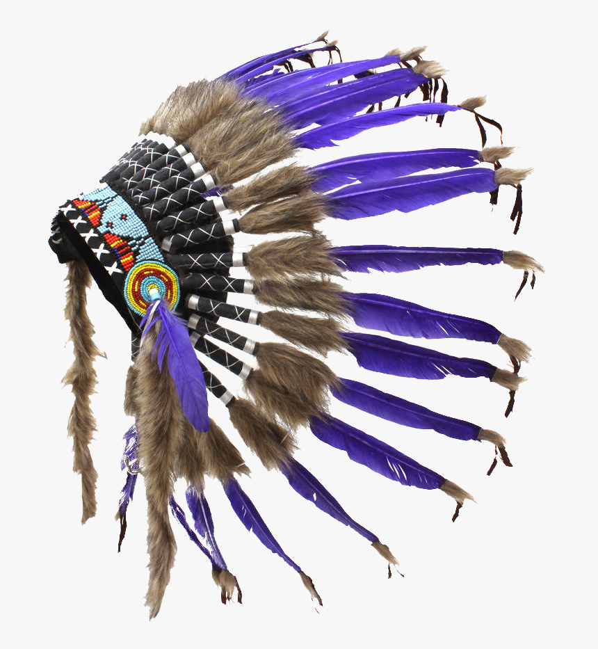 Detail Indian Feathers Png Nomer 23