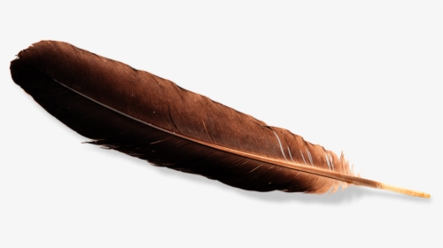 Detail Indian Feathers Png Nomer 36