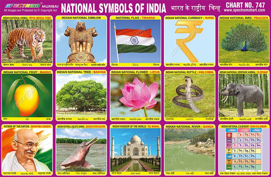 Detail Indian National Symbols Images Nomer 2