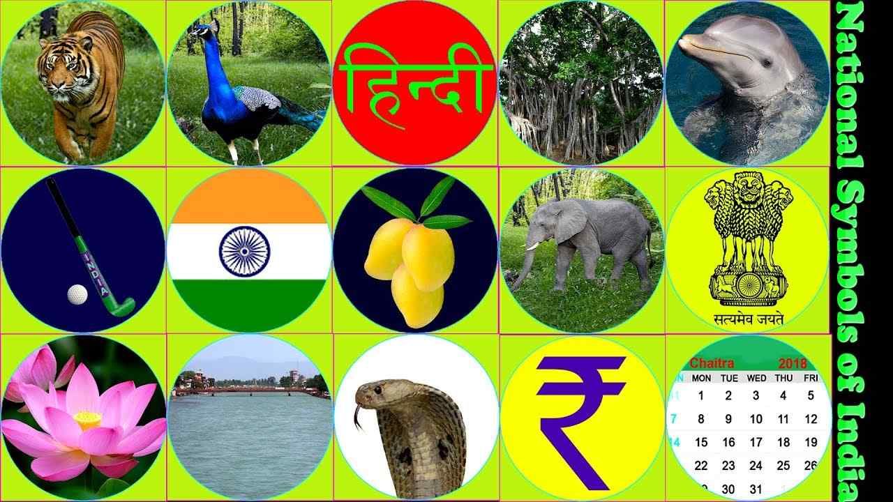 Detail Indian National Symbols Images Nomer 13