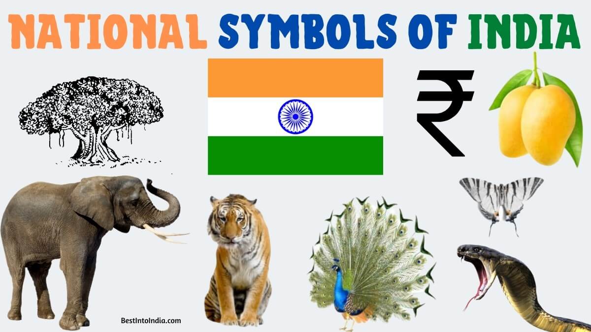 Detail Indian National Symbols Images Nomer 41