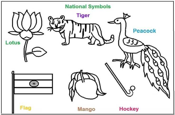 Detail Indian National Symbols Images Nomer 42