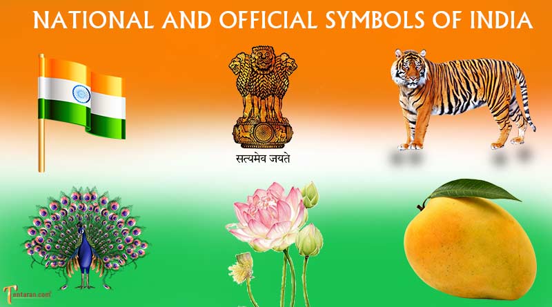 Detail Indian National Symbols Images Nomer 7