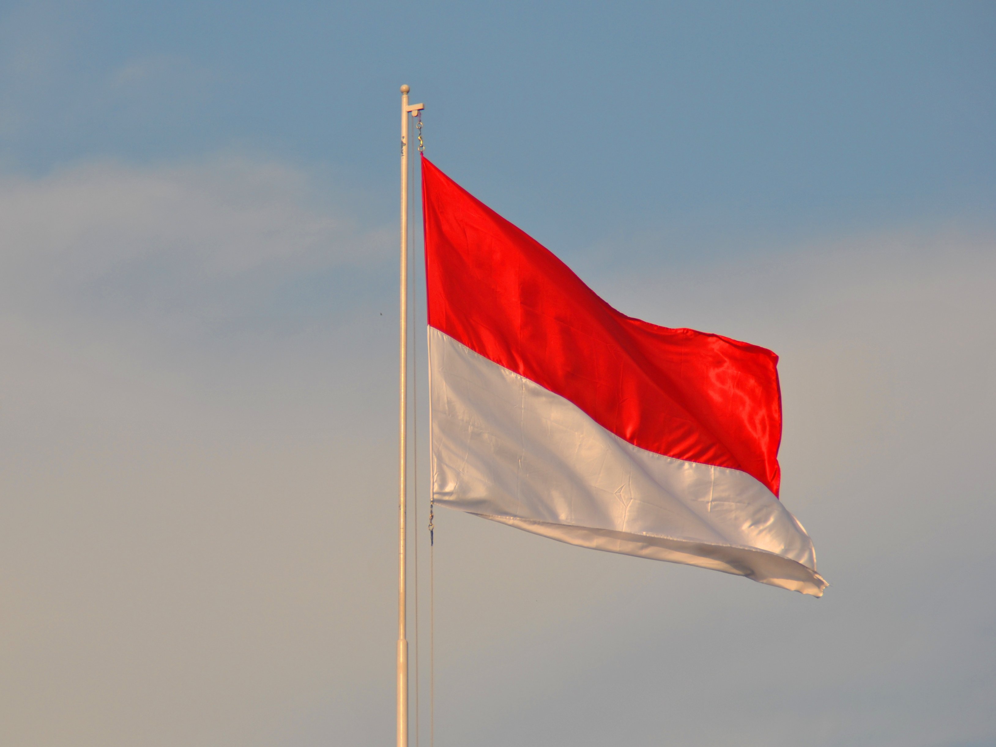 Detail Indonesia Flag Hd Nomer 24