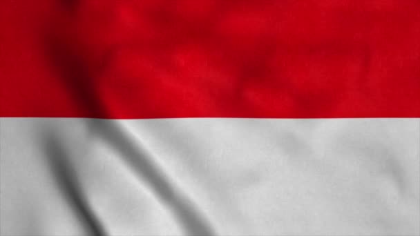 Detail Indonesia Flag Hd Nomer 39