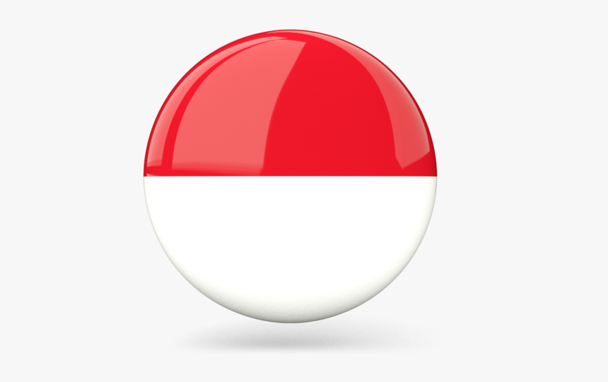 Detail Indonesia Flag Hd Nomer 43