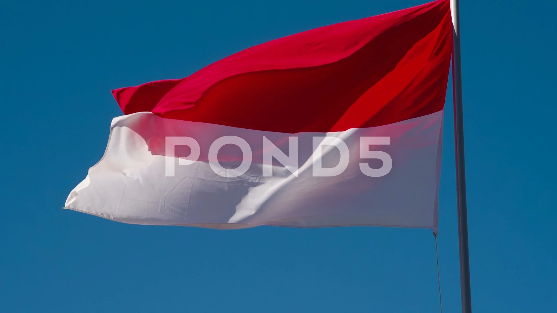 Detail Indonesia Flag Hd Nomer 57