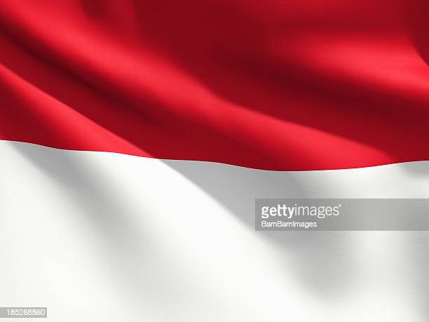 Detail Indonesia Flag Hd Nomer 8