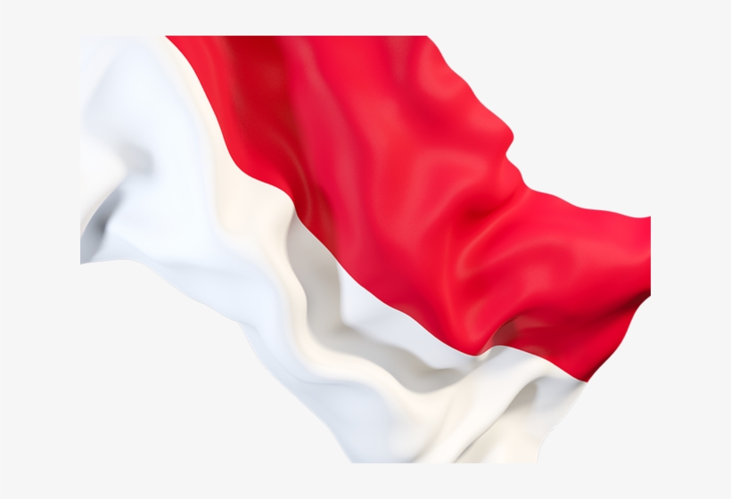 Detail Indonesia Flag Png Transparent Nomer 5