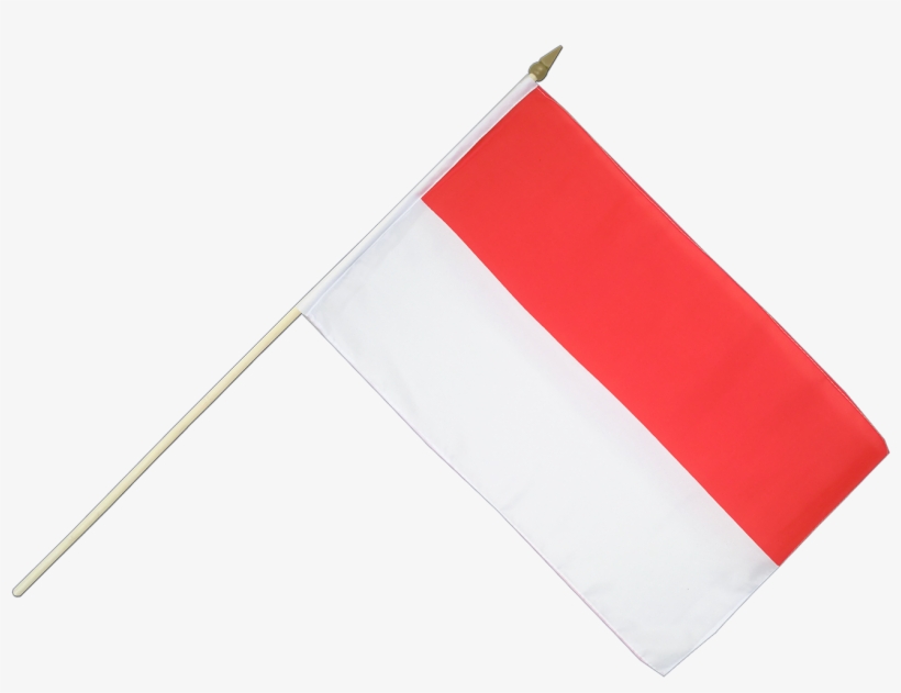 Detail Indonesia Flag Png Transparent Nomer 49