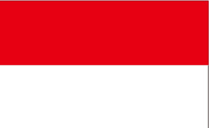 Detail Indonesia Flag Png Transparent Nomer 56