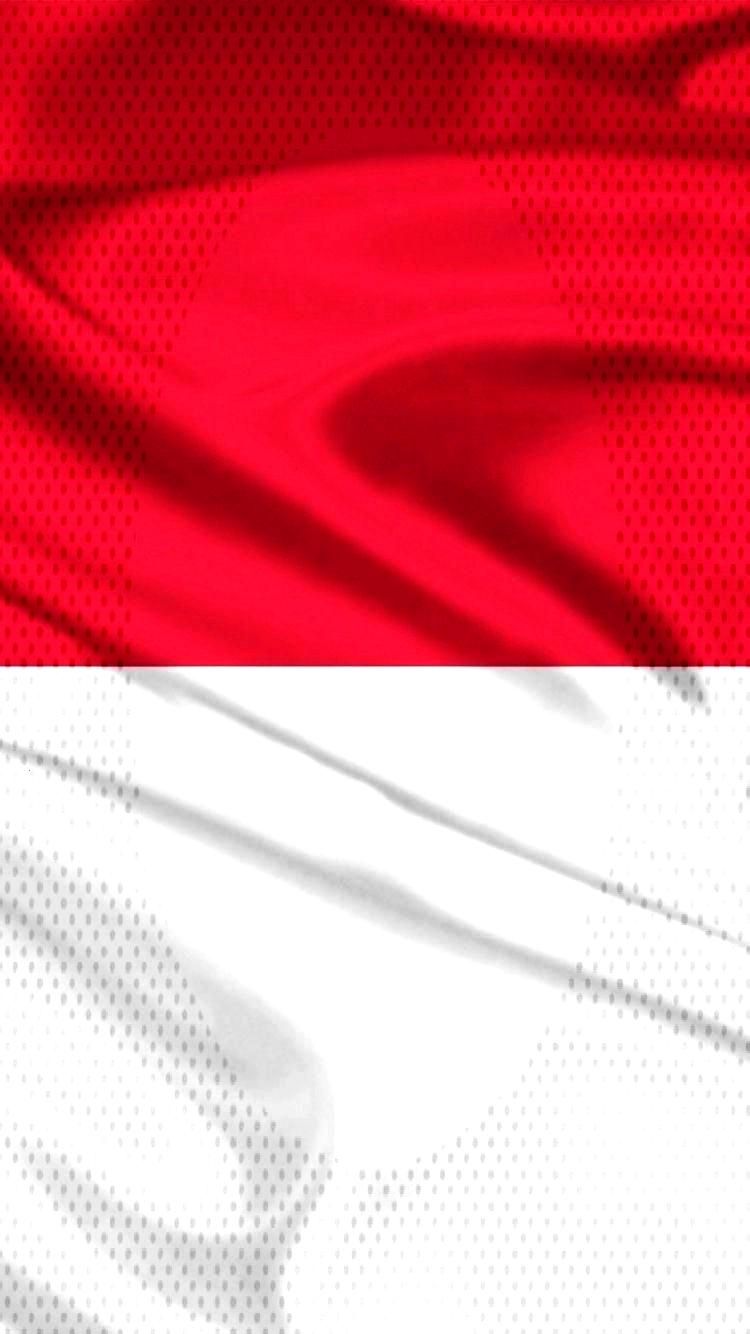 Detail Indonesia Flag Wallpaper Nomer 43