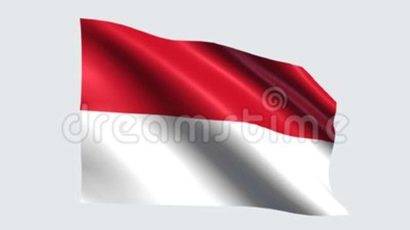 Detail Indonesian Flag Transparent Nomer 8