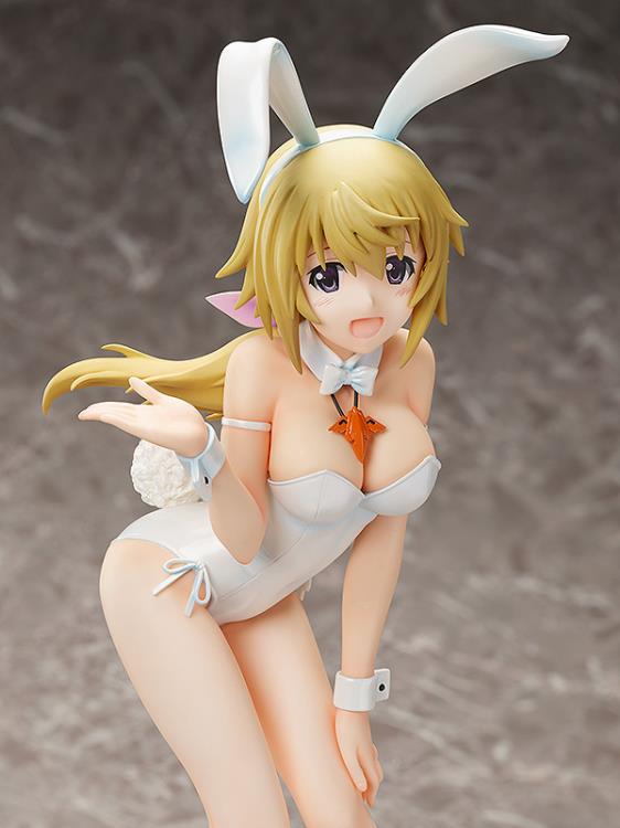 Detail Infinite Stratos Charlotte Nomer 29