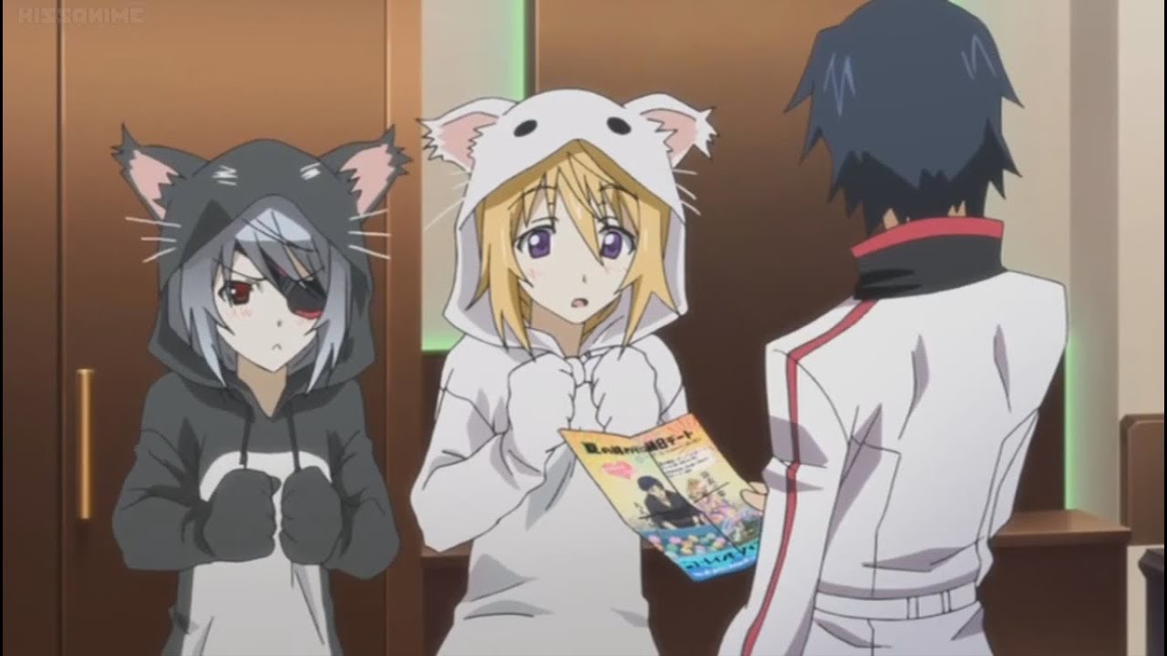 Detail Infinite Stratos Charlotte Nomer 35