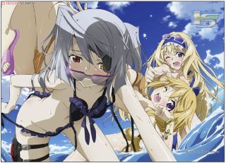 Detail Infinite Stratos Charlotte Nomer 44