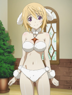 Detail Infinite Stratos Charlotte Nomer 7