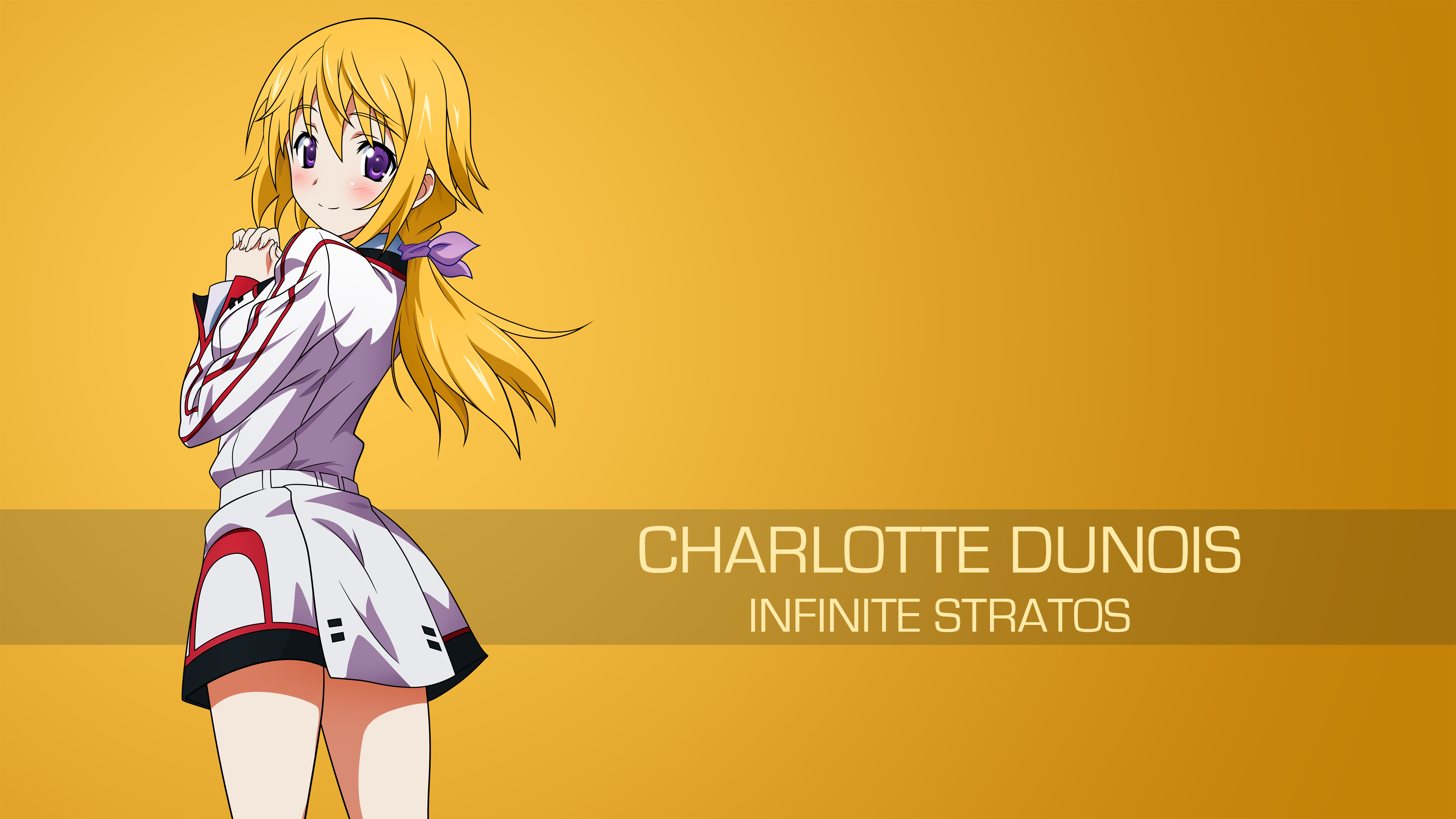 Detail Infinite Stratos Wallpaper Nomer 28