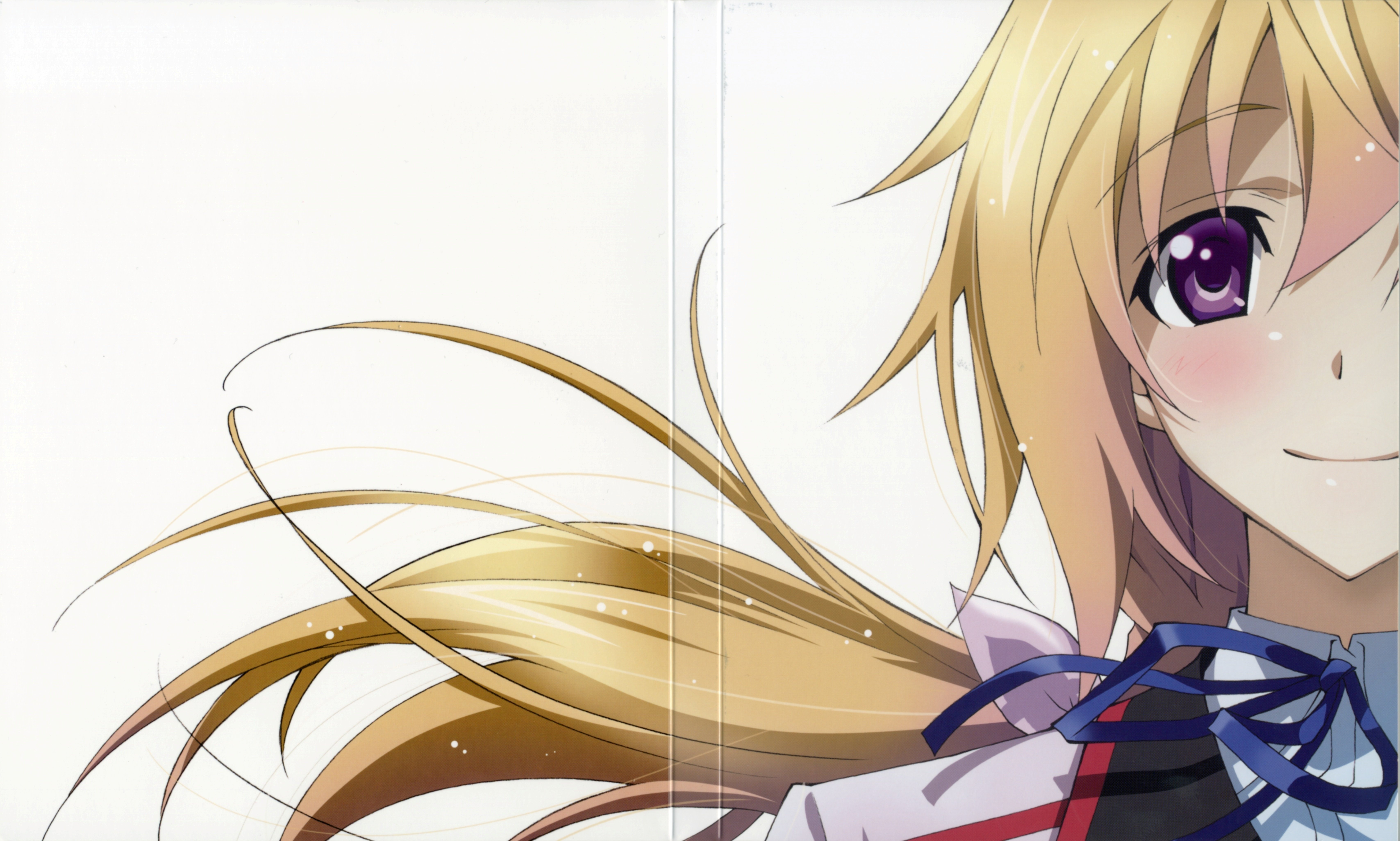 Detail Infinite Stratos Wallpaper Nomer 53