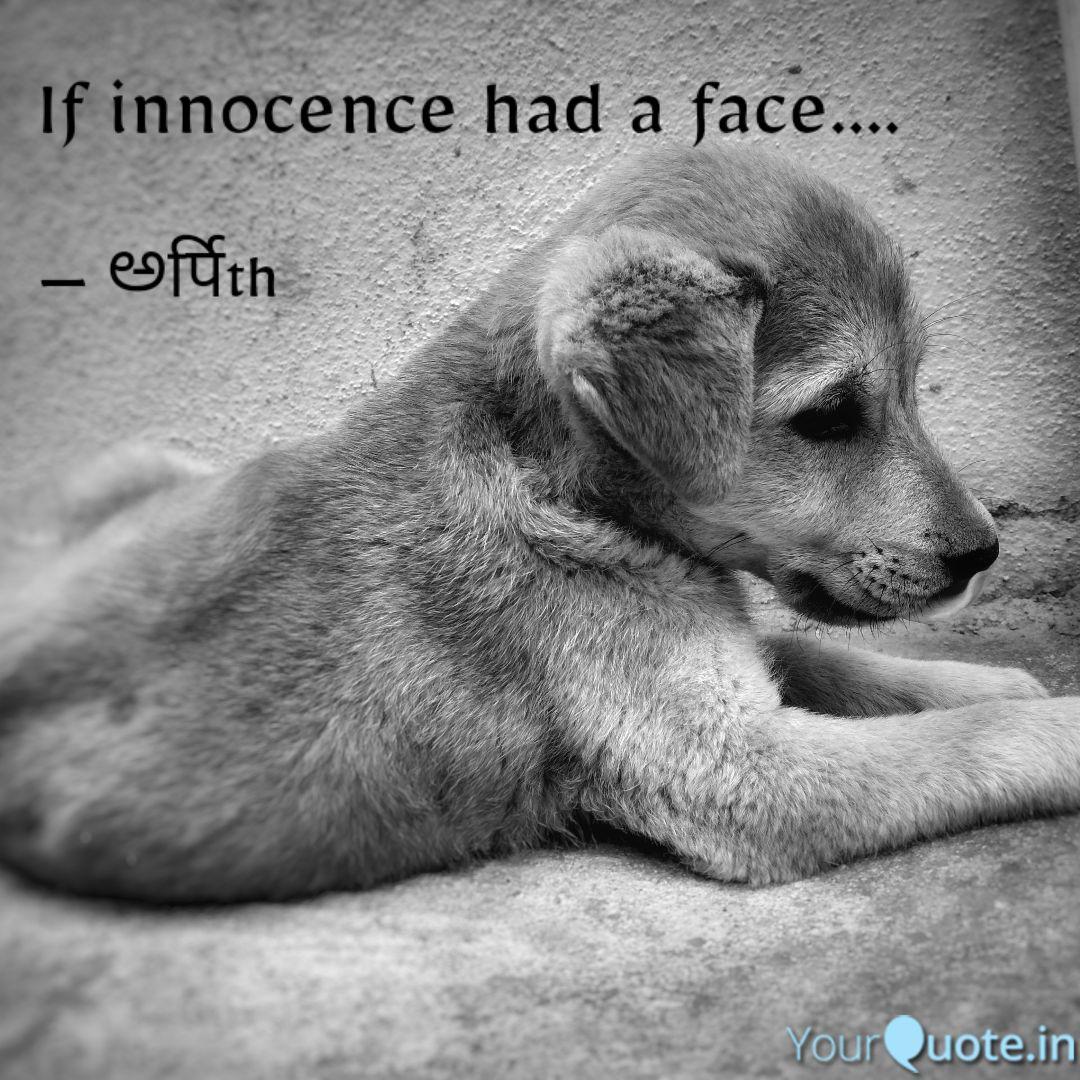 Detail Innocent Face Quotes Nomer 36