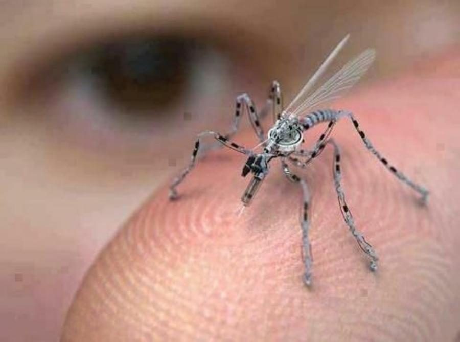 Insect Spy Drone 2020 - KibrisPDR