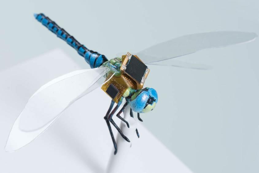 Detail Insect Spy Drone 2020 Nomer 13