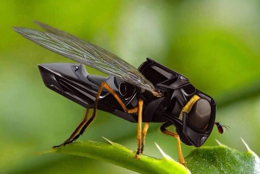 Detail Insect Spy Drone 2020 Nomer 6