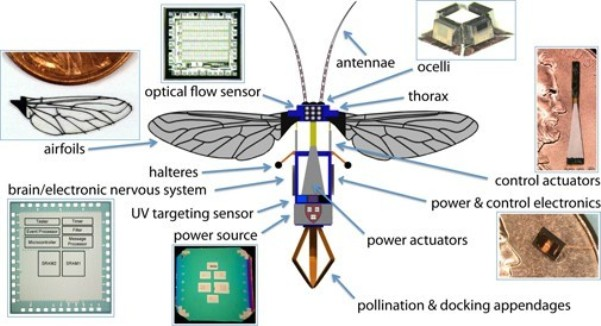 Detail Insect Spy Drone Buy Nomer 7