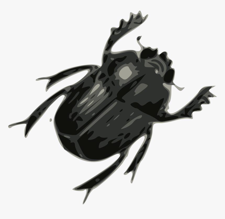Detail Insect Transparent Background Nomer 35