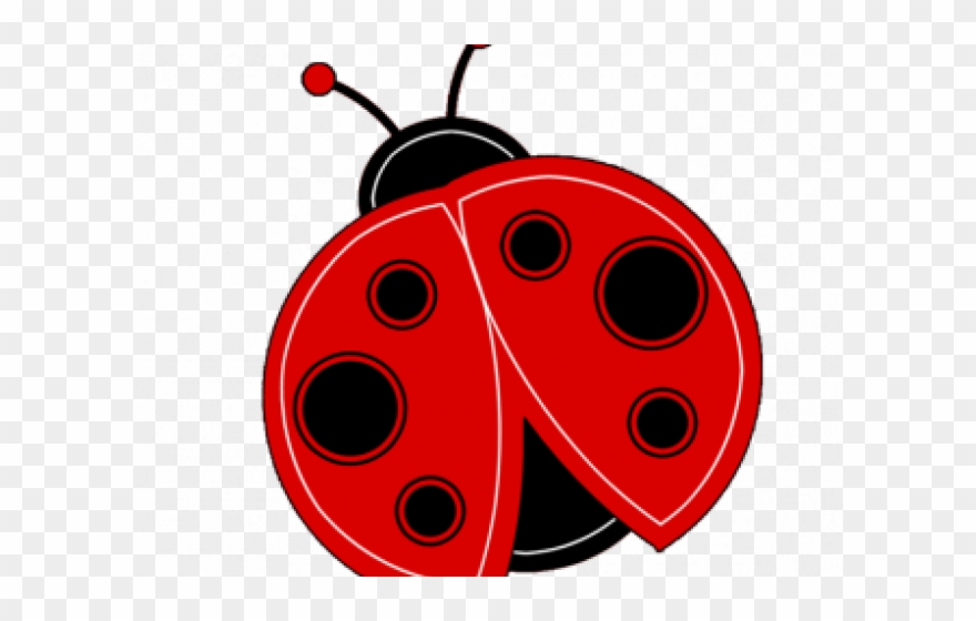 Detail Insect Transparent Background Nomer 44