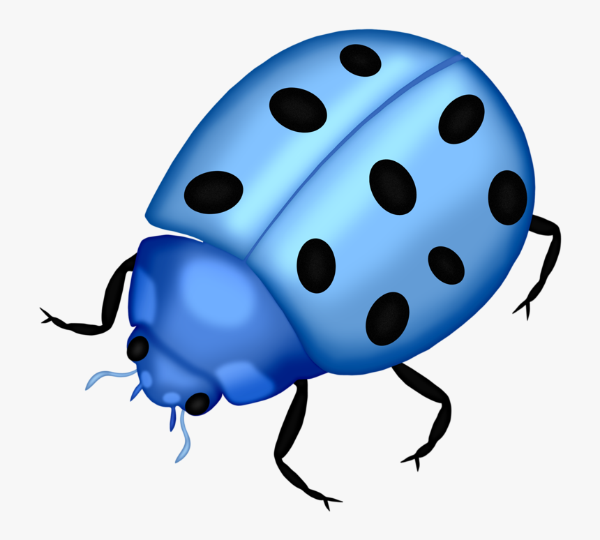 Detail Insect Transparent Background Nomer 46