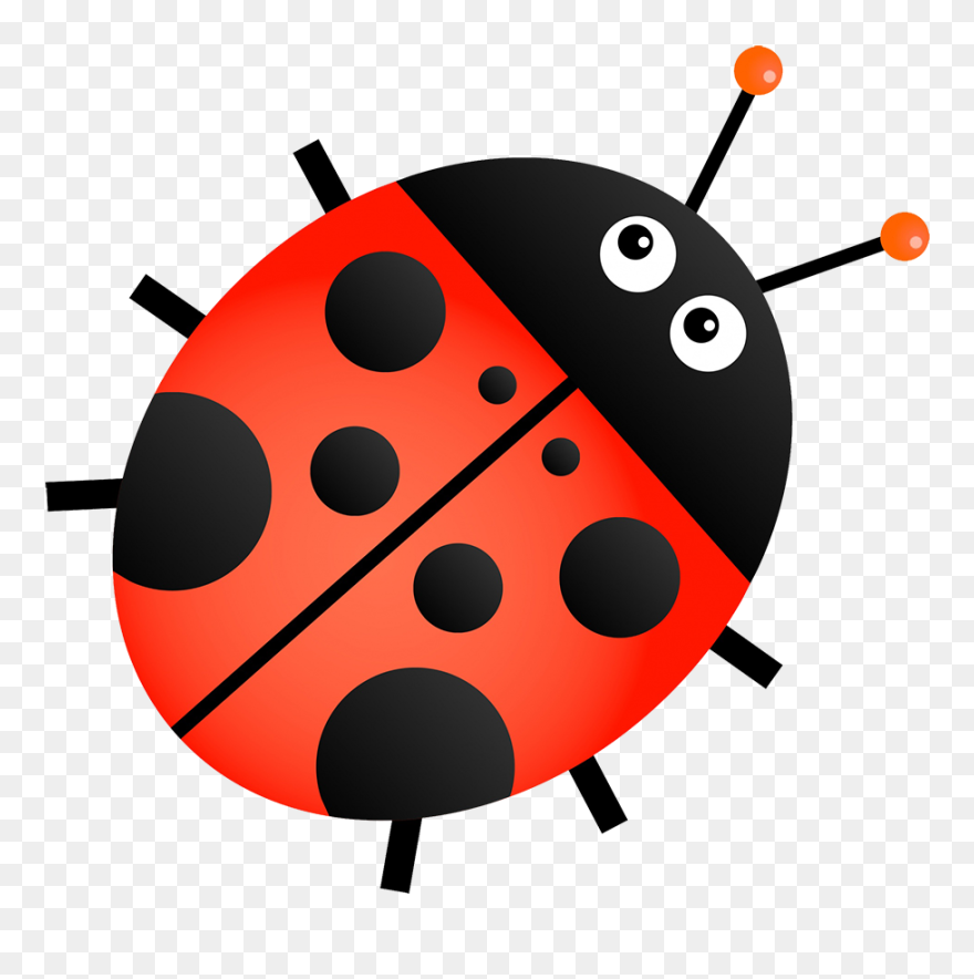 Detail Insect Transparent Background Nomer 47
