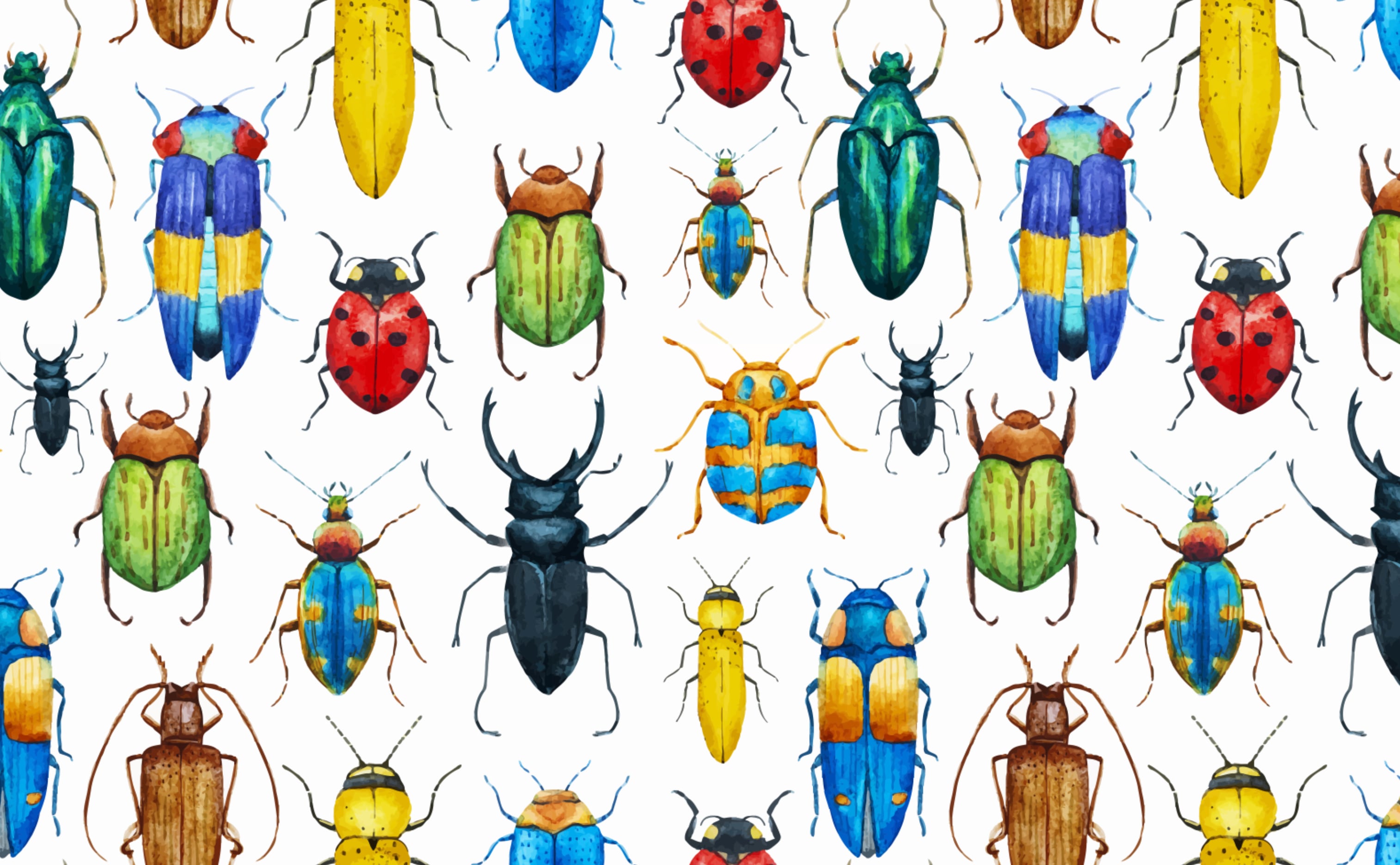 Detail Insect Wallpaper Nomer 2