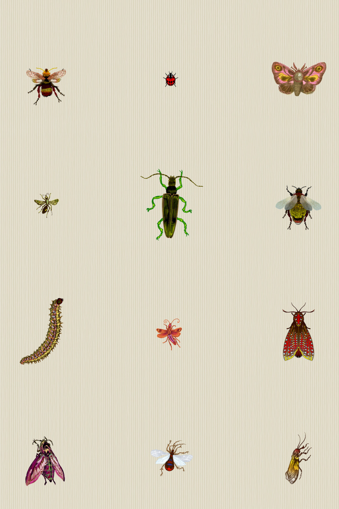 Detail Insect Wallpaper Nomer 11