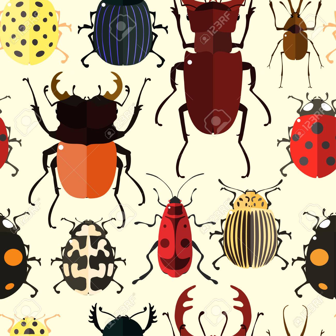 Detail Insect Wallpaper Nomer 40