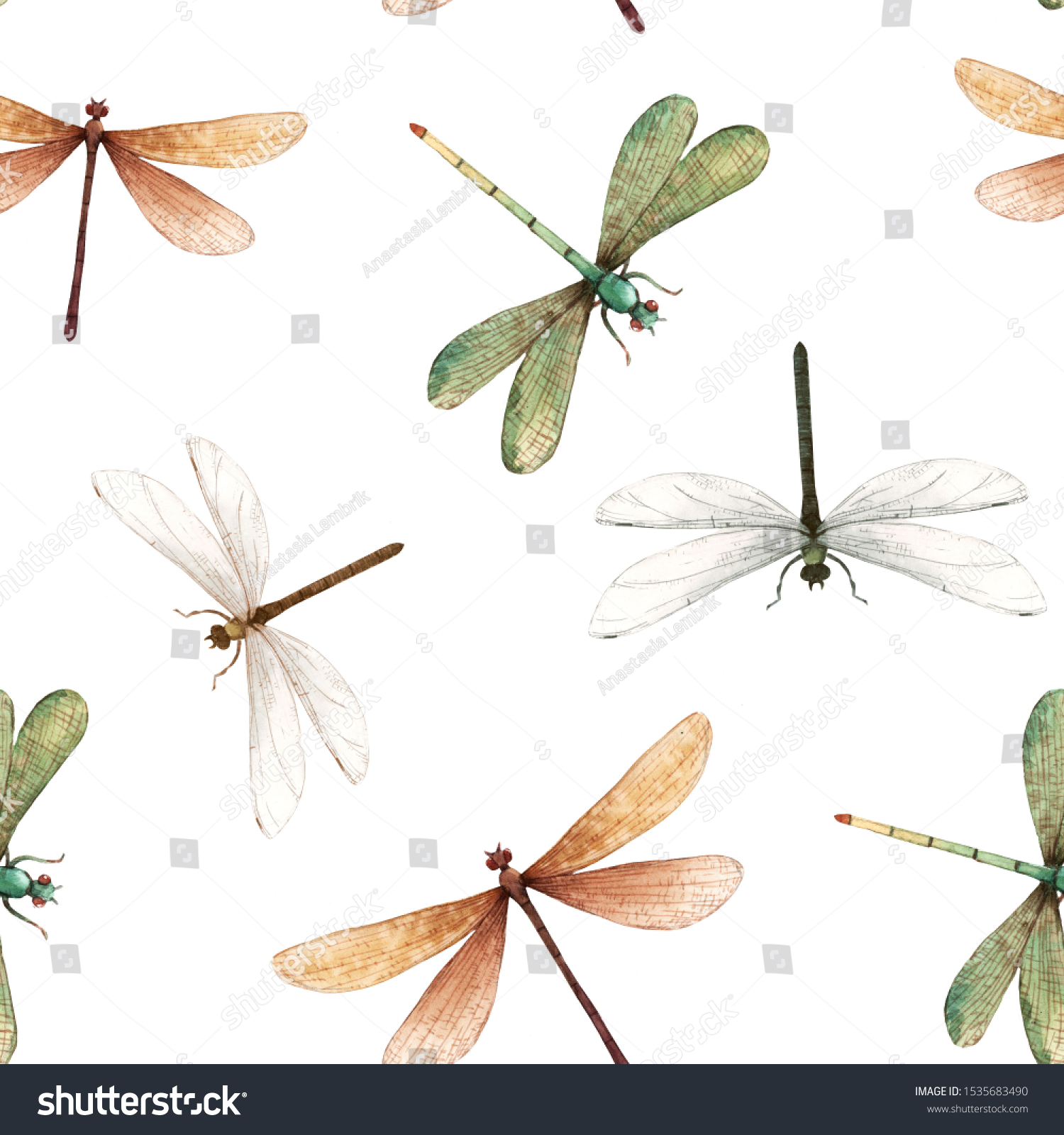 Detail Insect Wallpaper Nomer 55