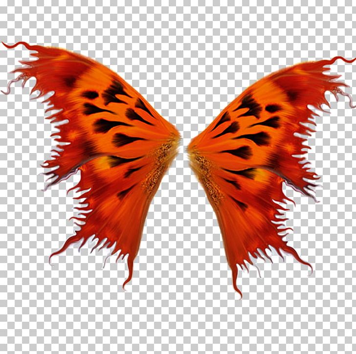 Detail Insect Wings Png Nomer 47